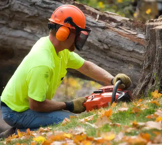 tree services Cherokee